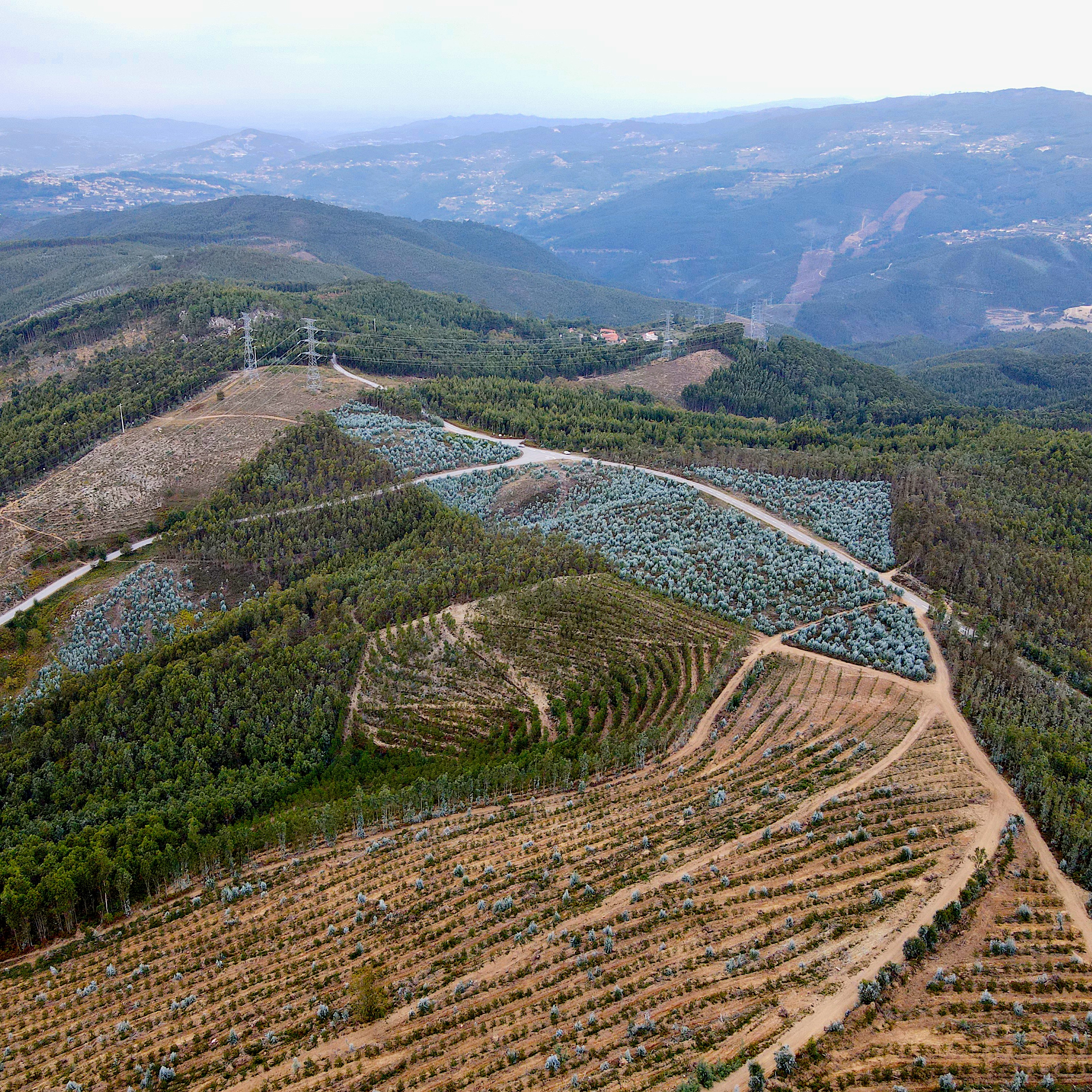 Ordenamento territorial